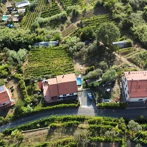  Bed & Breakfast In Vino Veritas